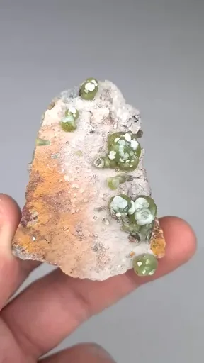 specimen video