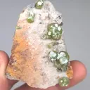 specimen video