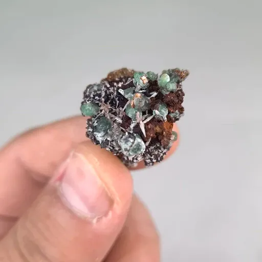specimen video