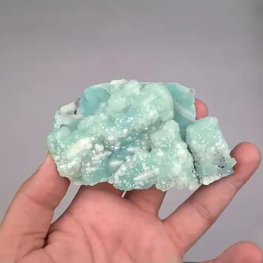 specimen video