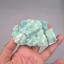 specimen video