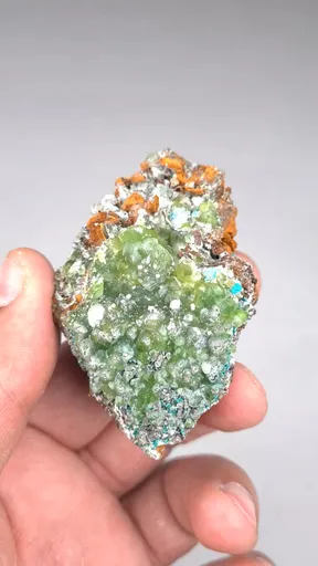 specimen video