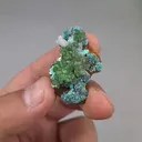 specimen video