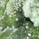 Smithsonite from Greece, Attica, Lavrion Mining District, Sounion mine no. 6, Lavrion - image 2