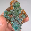 specimen video