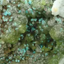 Smithsonite from Sounion mine no. 6, Lavrion, Lavrion Mining District, Attica, Greece - image 2