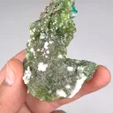 specimen video