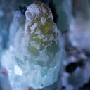 Smithsonite from Touissit, Oriental Region, Morocco - image 2