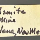 Smithsonite from USA, New Mexico, Kelly Mine - image 3