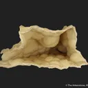 Smithsonite on a Calcite Cast (fluorescent) - image 2