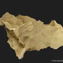 Smithsonite on a Calcite Cast (fluorescent) - image 9