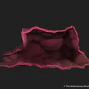 Smithsonite on a Calcite Cast (fluorescent) - image 6