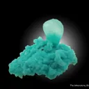 Smithsonite on Aurichalcite - image 6