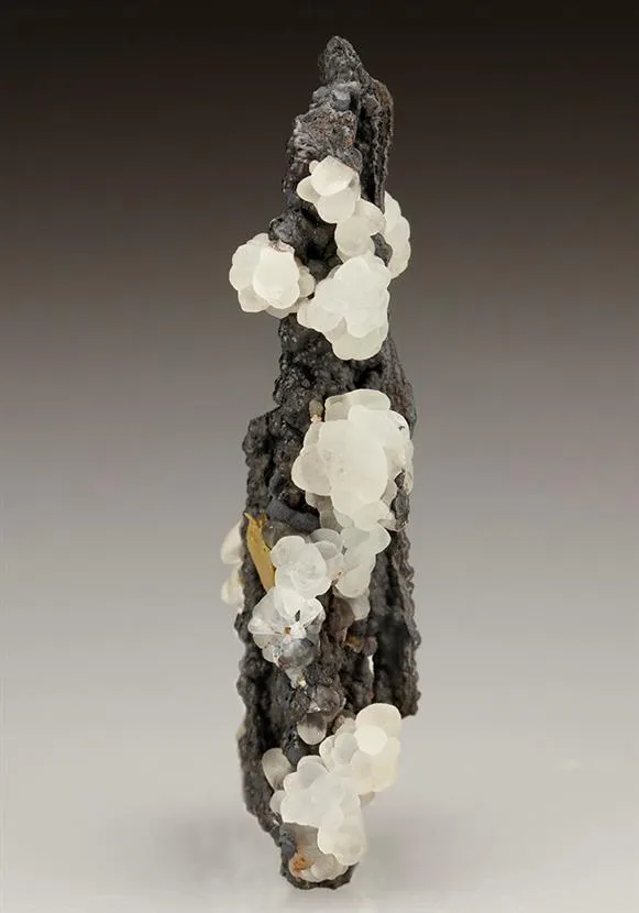 Smithsonite on Coronadite - image 1