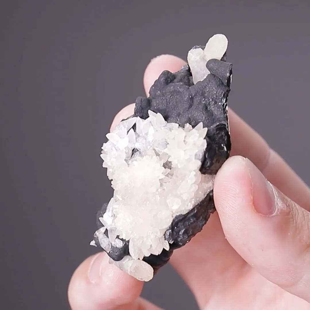 Smithsonite on Coronadite - image 2