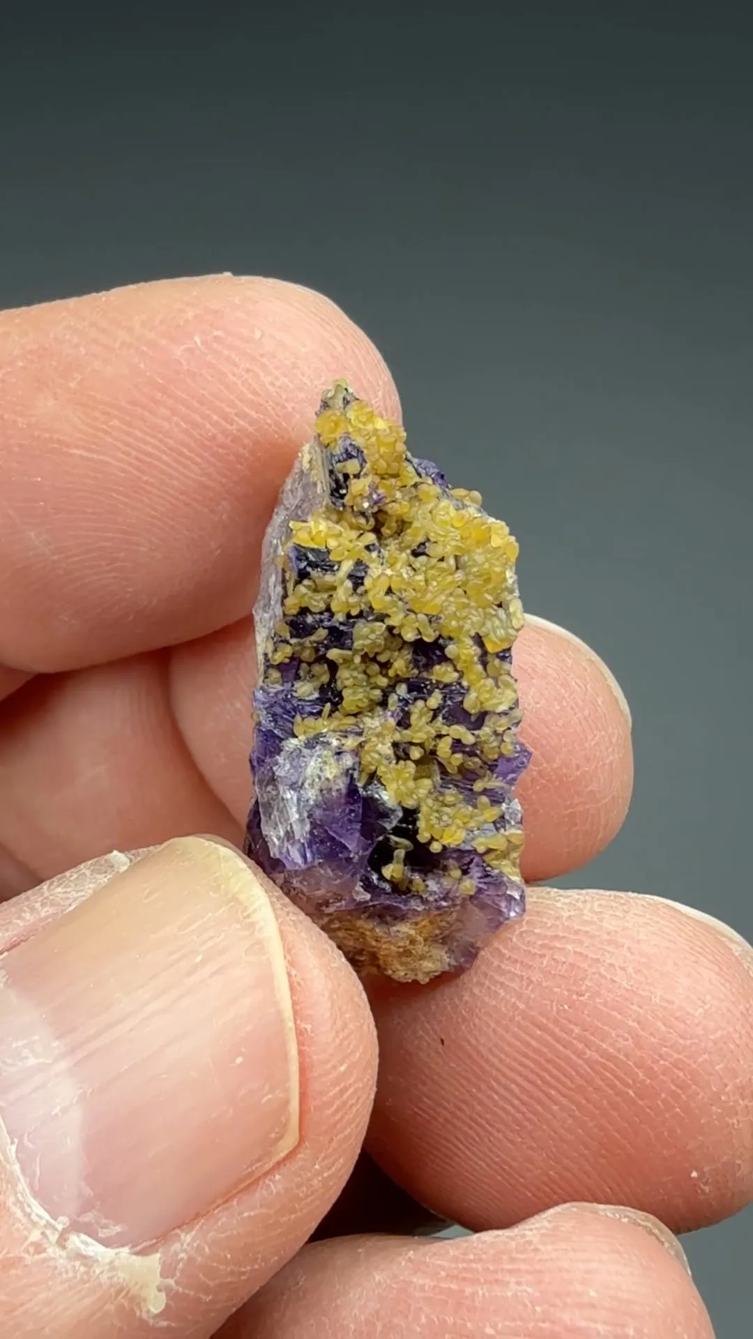 Smithsonite on Fluorite - image 2