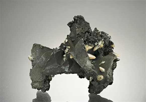 Smithsonite on Galena image