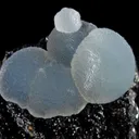 Smithsonite on Goethite - image 4