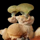 Smithsonite on Goethite ps. Selenite - image 1