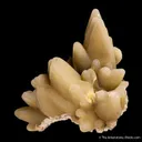 Smithsonite ps. Calcite - image 3