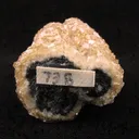 Smithsonite Stalactite - image 5