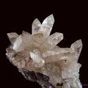 Smithsonite Var. Cobaltian - image 3