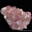 Smithsonite Var. Cobaltian - image 2