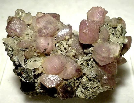 Smithsonite (Var: Cobaltoan Smithsonite) image