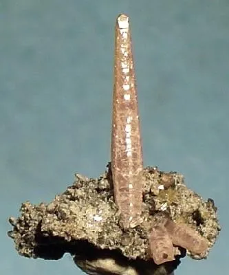 Smithsonite (Var: Cobaltoan Smithsonite) image