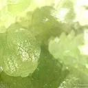 Smithsonite Var. Cuprian - image 2