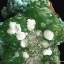 Smithsonite var. Cuprian, Aurichalcite, and Calcite - image 4