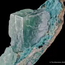 Smithsonite var. Cuprian on Rosasite - image 5