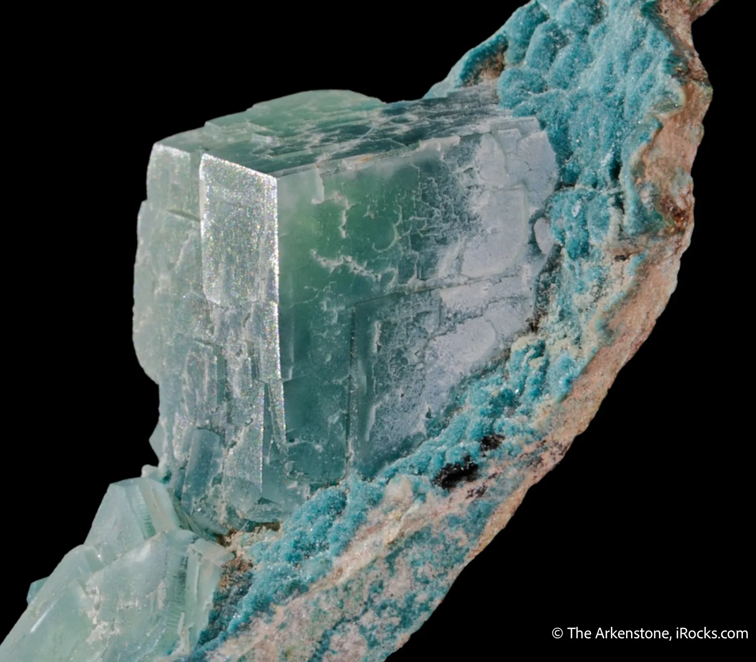 Smithsonite var. Cuprian on Rosasite - image 5
