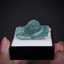 Smithsonite var. Cuprian on Rosasite - image 2