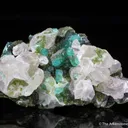 Smithsonite var. Cuprian Smithsonite on Cerussite with Duftite - image 2
