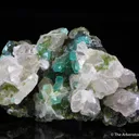Smithsonite var. Cuprian Smithsonite on Cerussite with Duftite - image 3