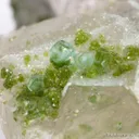Smithsonite var. Cuprian Smithsonite on Cerussite with Duftite - image 4