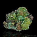 Smithsonite var. Cuprian Smithsonite, with Mottramite - image 3