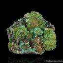 Smithsonite var. Cuprian Smithsonite, with Mottramite - image 1