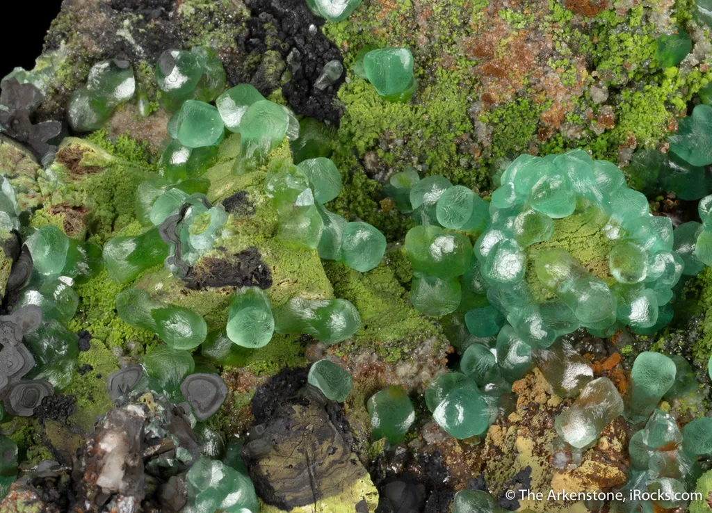 Smithsonite var. Cuprian Smithsonite, with Mottramite - image 2