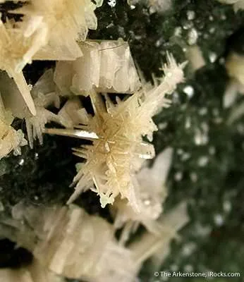 Smithsonite Var. Cuprosmithsonite With Cerussite - image 4