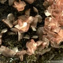 Smithsonite var. Manganoan Smithsonite with Pyrite - image 6