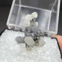 Smithsonite with Coronadite - image 2