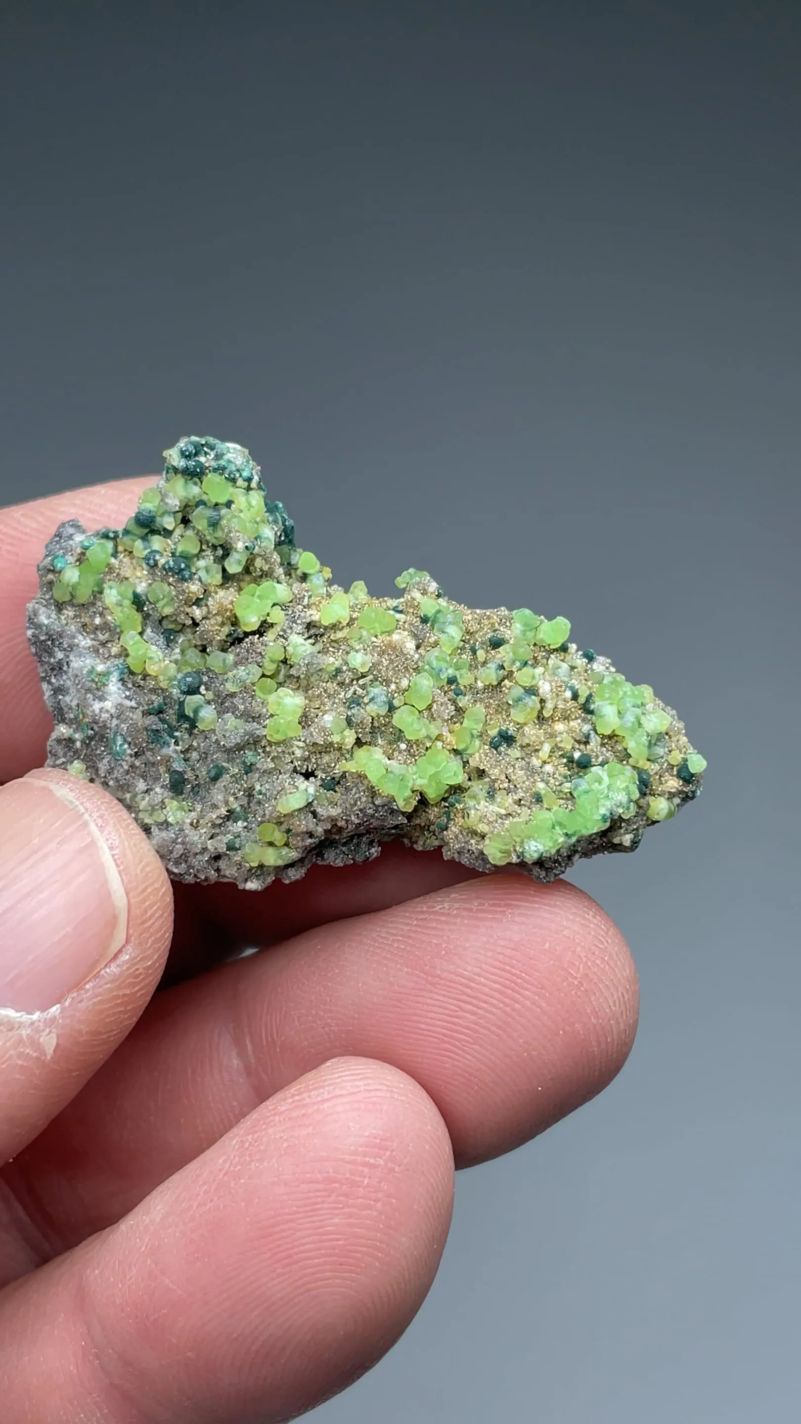 Smithsonite with Rosasite - image 2