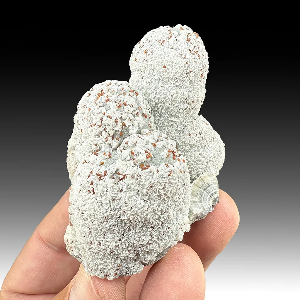 Smithsonite with Wulfenite, Dolomite image