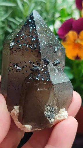 specimen video