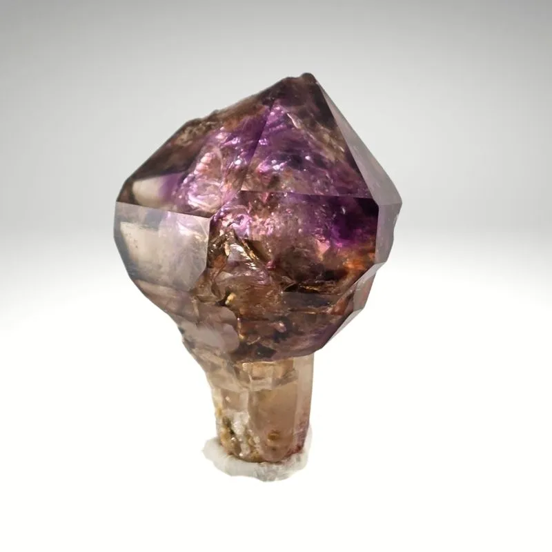 Smoky Amethyst Sceptre w/ Enhydro Sahatany Valley, Madagascar - image 2
