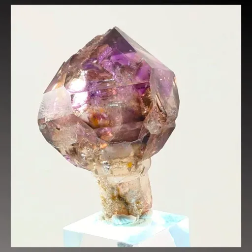 specimen video