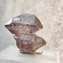 specimen video