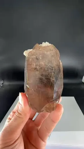 specimen video
